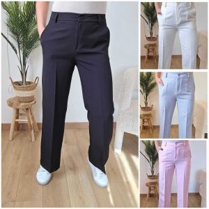 Pantalon à pinces (+couleurs)